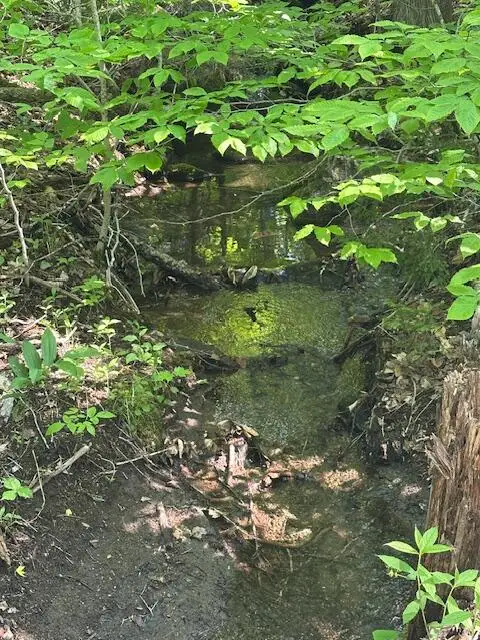 Lot 1 Scammon Road, Greenville, ME 04441 - Image #2