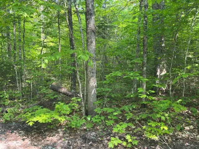 Lot 1 Scammon Road, Greenville, ME 04441 - Image #3
