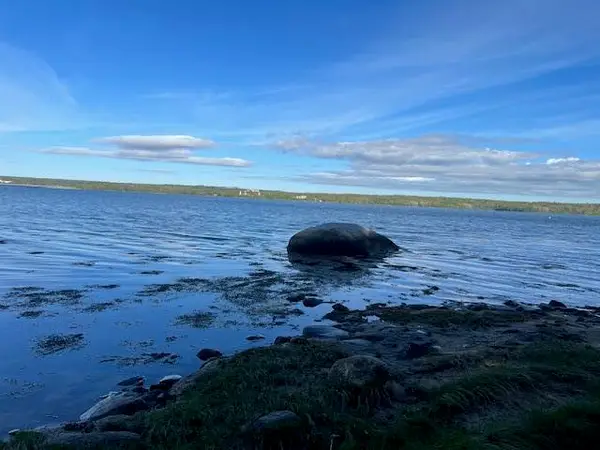 Lot #7 Cape Jellison Road, Stockton Springs, ME 04981