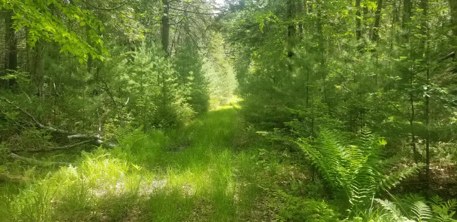 M13, L36, Harland Cunningham Road, Penobscot, ME 04476 - Image #2