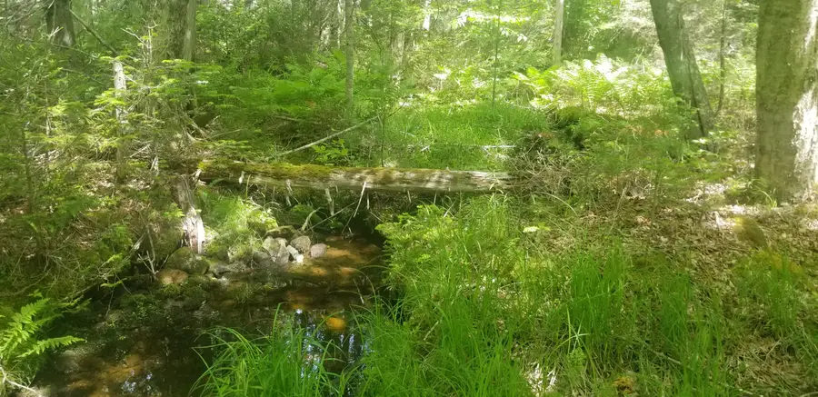 M13, L36, Harland Cunningham Road, Penobscot, ME 04476 - Image #3