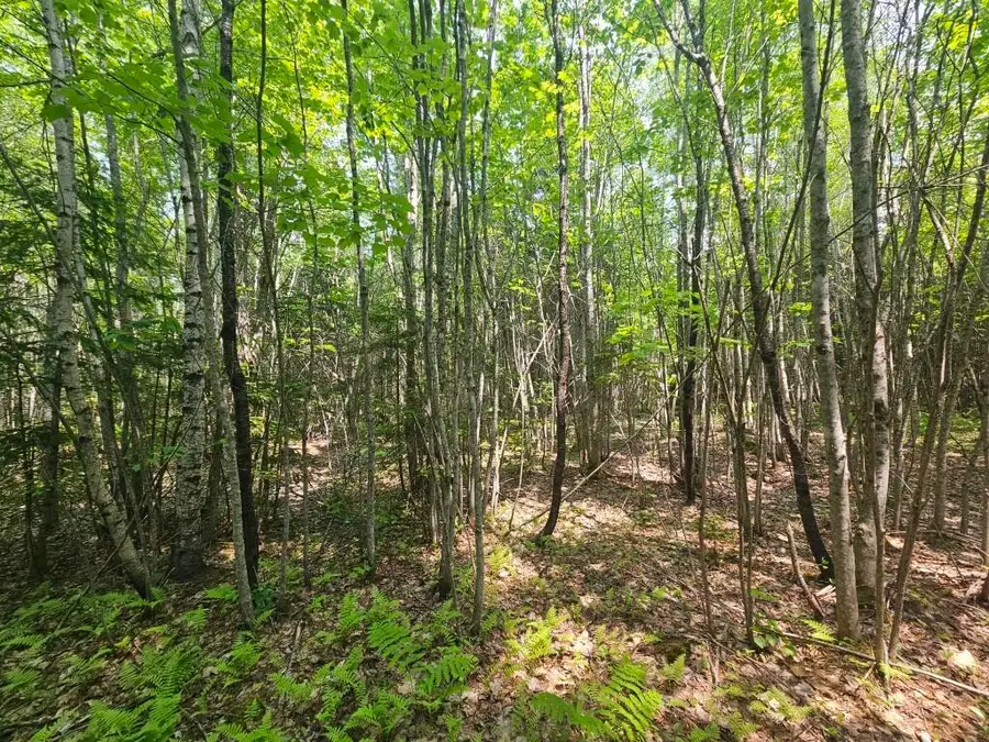 2016 2016 Hudson Road, Hudson, ME 04449 - Image #2