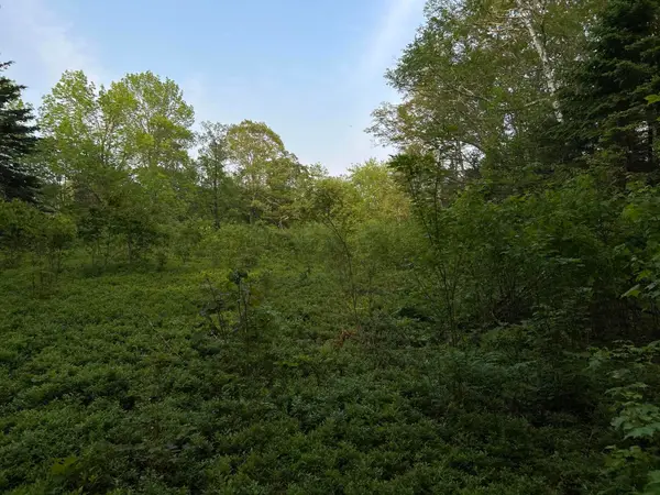 M6L54 Bristol Road, Bristol, ME 04539