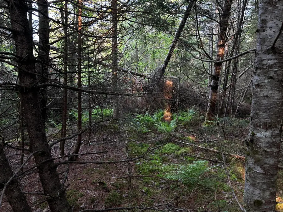 M6L54 Bristol Road, Bristol, ME 04539 - Image #3