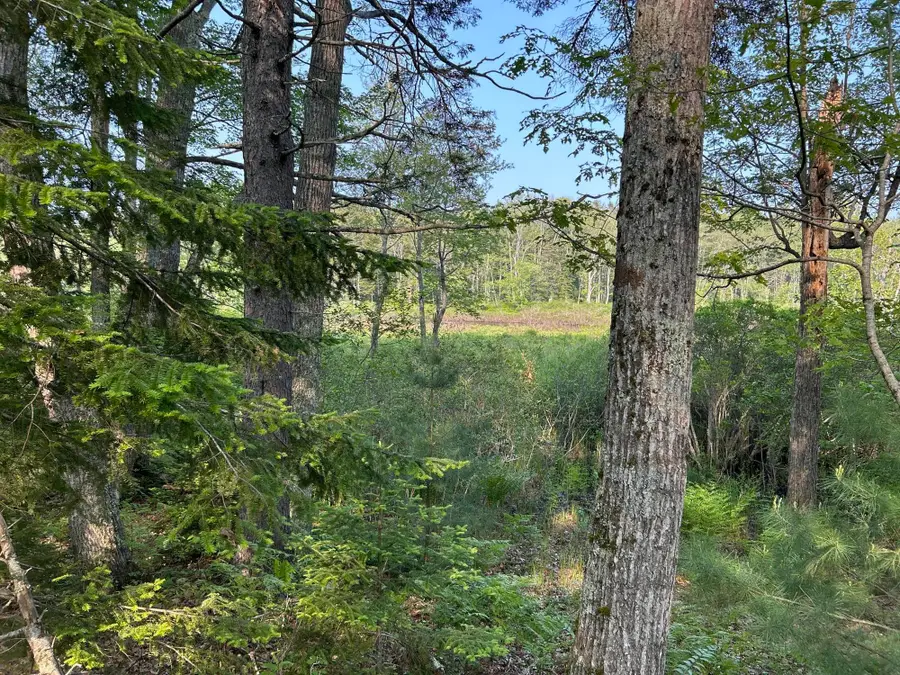 M6L53 Bristol Road, Bristol, ME 04539 - Image #2