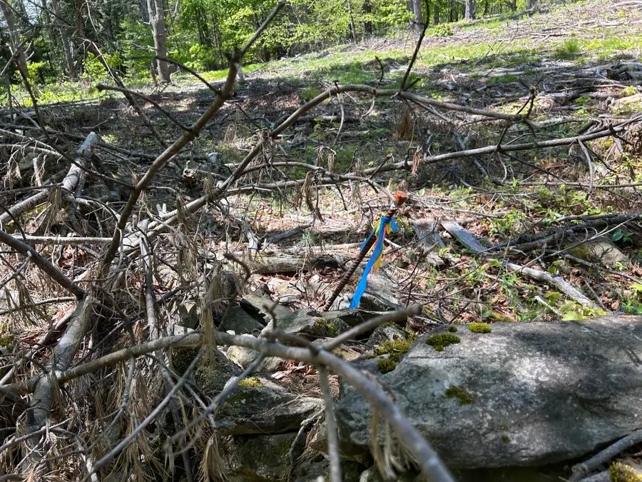 050-C-1 W Waldo Road, Belfast, ME 04915 - Image #3