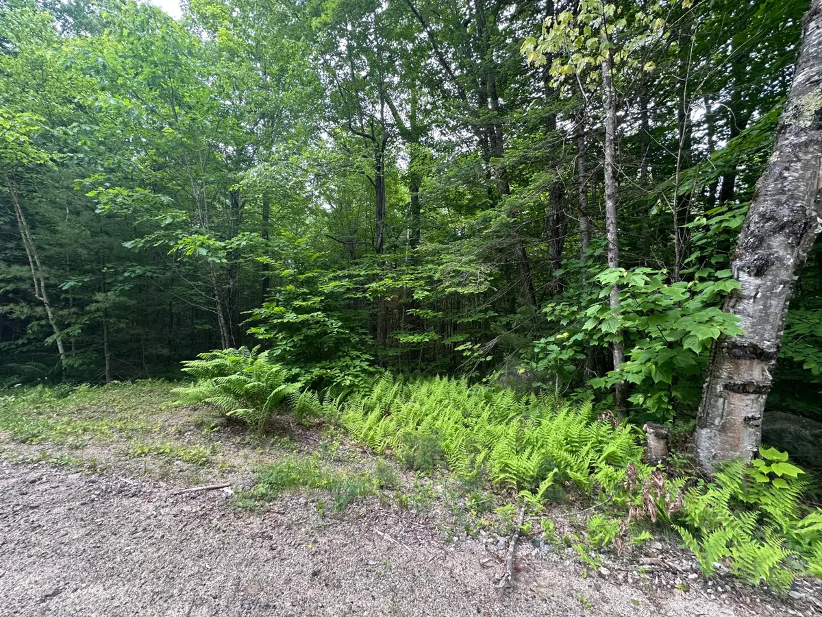 R13-023-B Hobbs Road, Greenwood, ME 04255 - Image #1