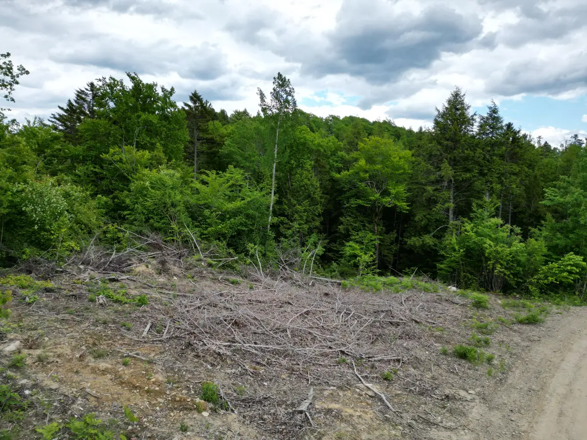 Lot 4 Shep Road Extension, Springfield, ME 04487 - Image #1