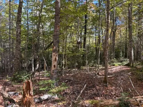 Lot 21 Marion Station Road, Marion Twp, ME 04628