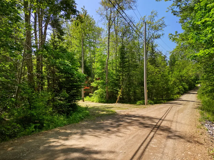 Part of Map 26 Lot 46 & 48 Mullins Bog Road, Lincolnville, ME 04849 - #3