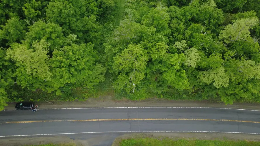 Lot 4.111 Lyford Road, Milo, ME 04463 - #3