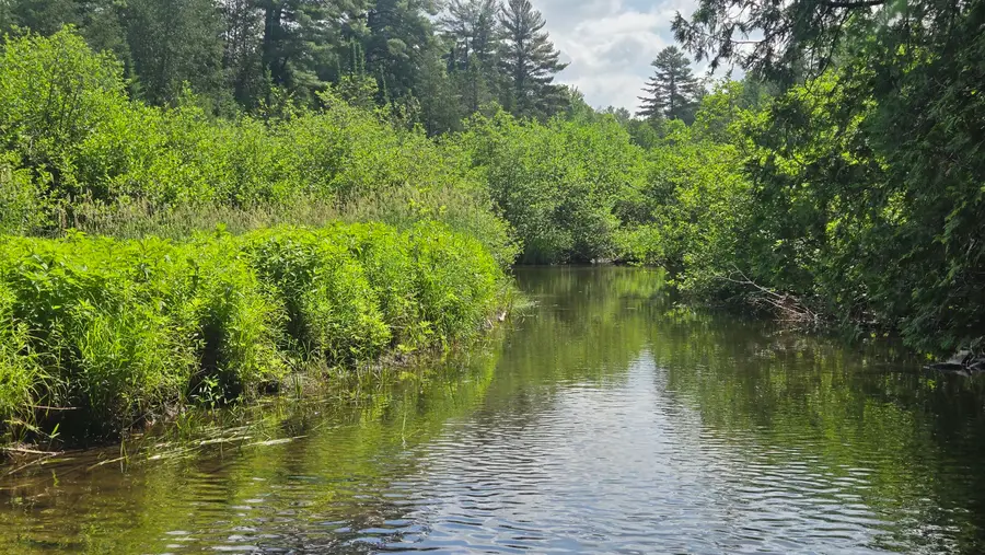 Lot U County Road, New Limerick, ME 04761 - Image #3