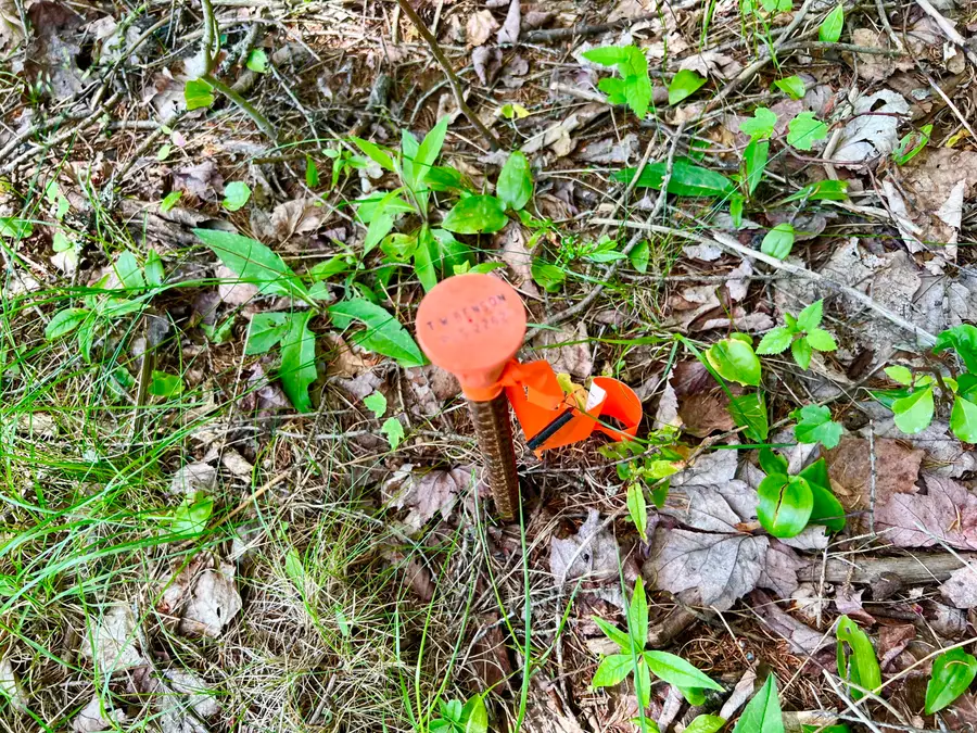 142 Seal Cove Road, Southwest Harbor, ME 04679 - Image #2