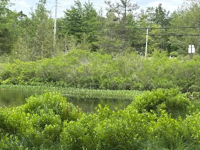 0 Dead Stream, Cooper, ME 04657 - Image #2