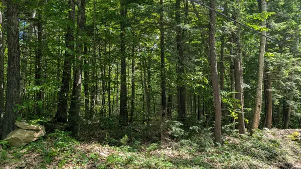 lot 36-C Diller Line, Chesterville, ME 04938