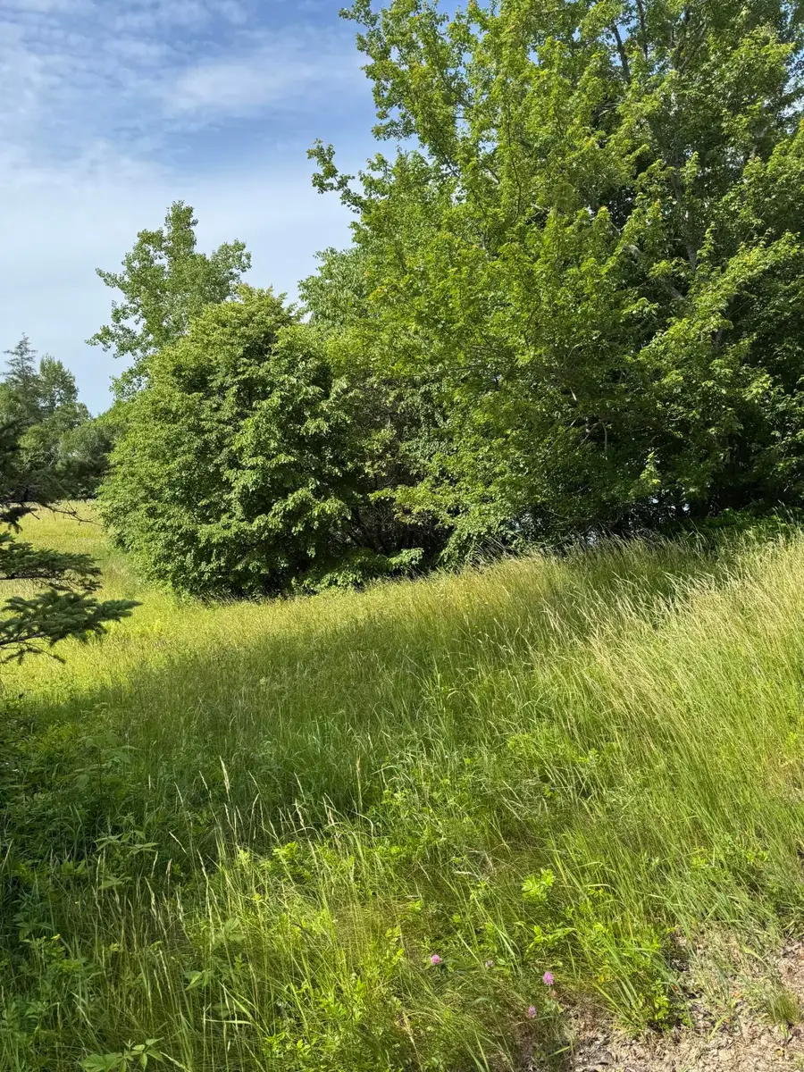 005-054 Bridge Street Street, Deer Isle, ME 04627 - Image #2