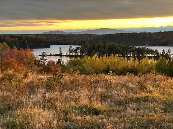 881 Pond Road, Gouldsboro, ME 04607 - Image #2