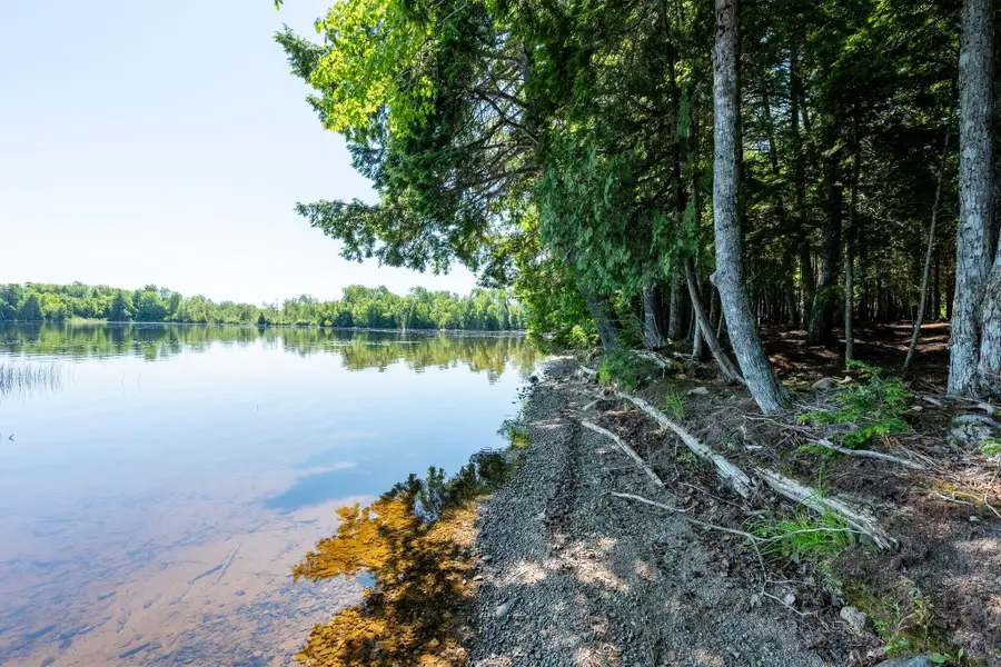 Lot 5 Black Cat Point, Princeton, ME 04668 - Image #2