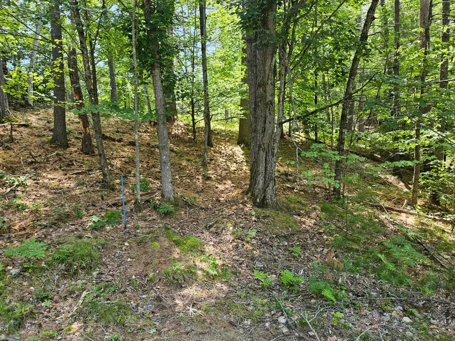 685 Crystal Lane, Lake Arrowhead, ME 04061 - Image #3