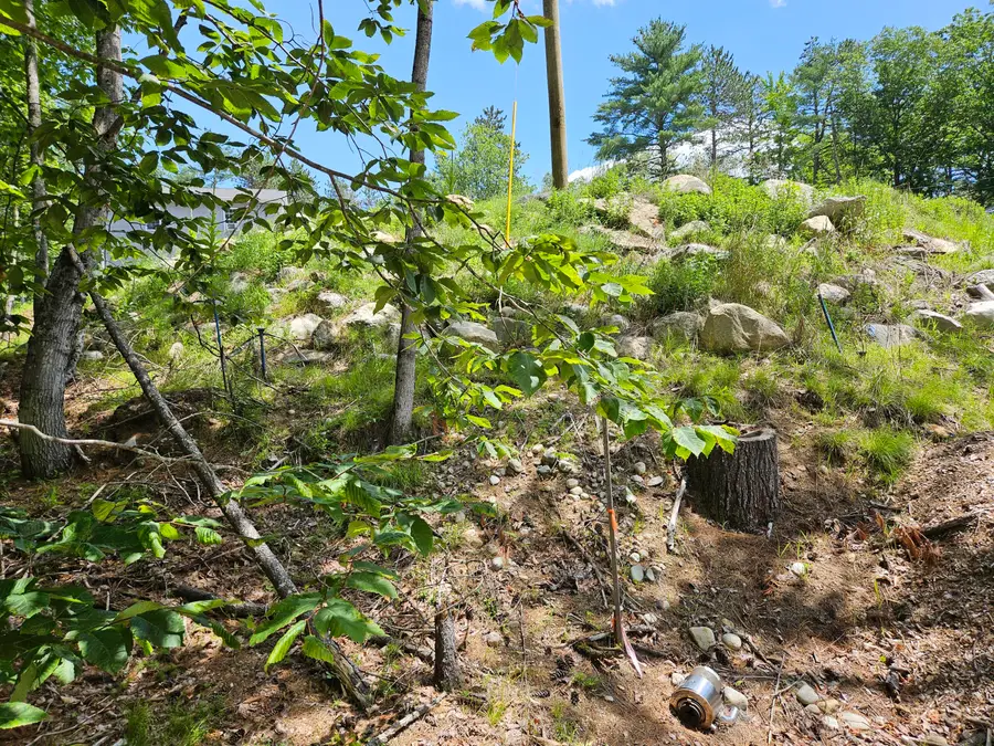 386 Lenox Circle, Lake Arrowhead, ME 04061 - Image #3