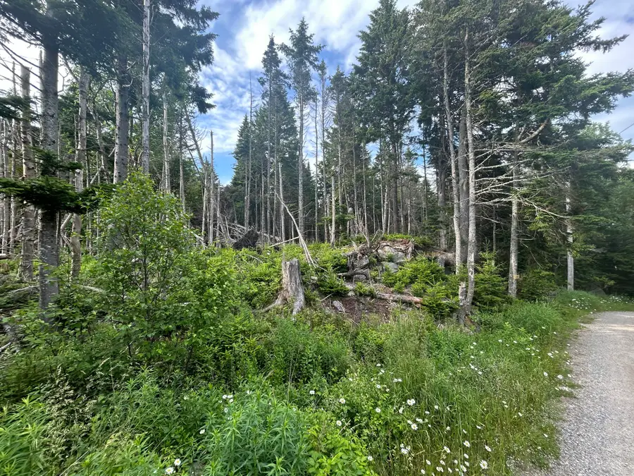 8,9,10&14 Kent/bar Island/wohoa Bay Road, Addison, ME 04606 - Image #2