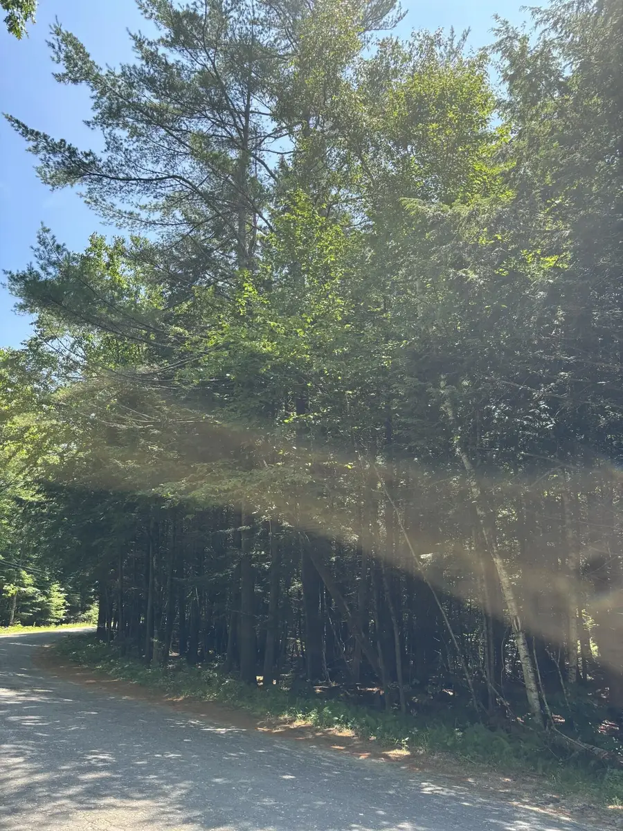 090 Belanger Road, Jay, ME 04239 - Image #3