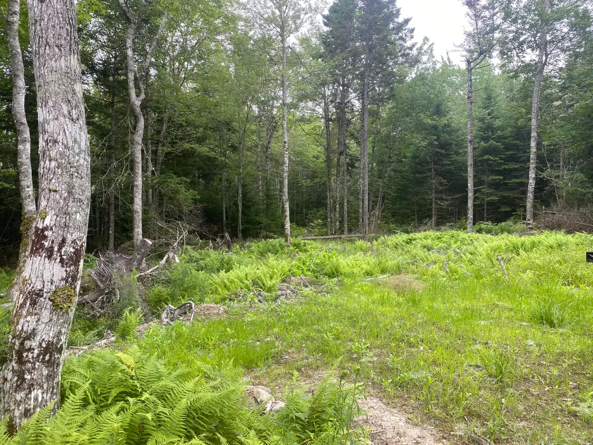 53 Woodland Drive, Trenton, ME 04605 - Image #1