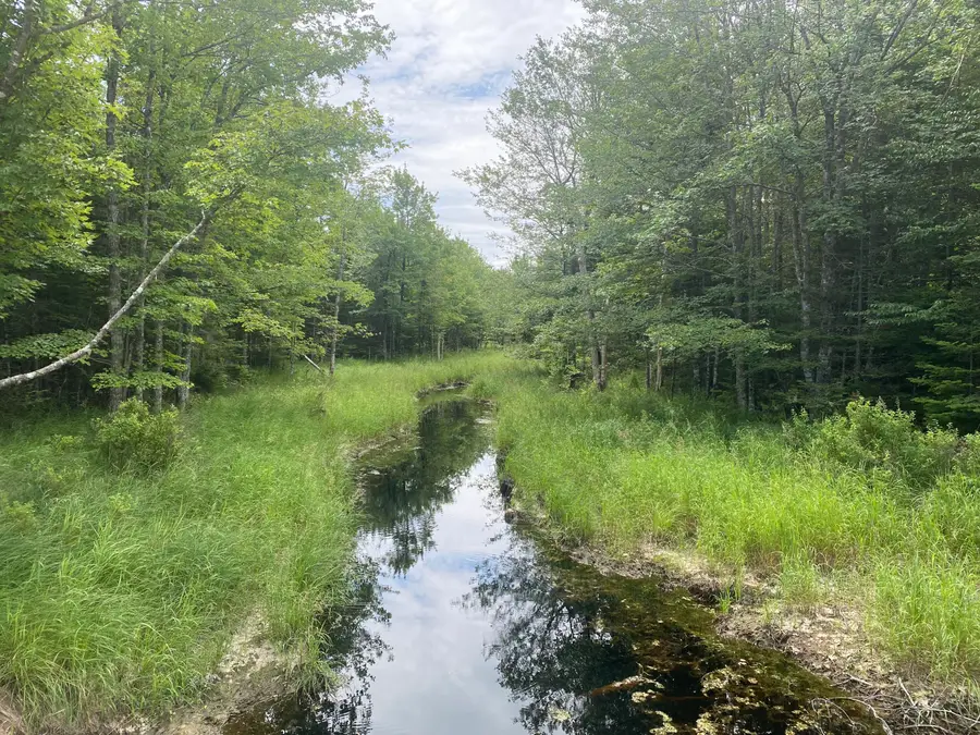 53 Woodland Drive, Trenton, ME 04605 - Image #3