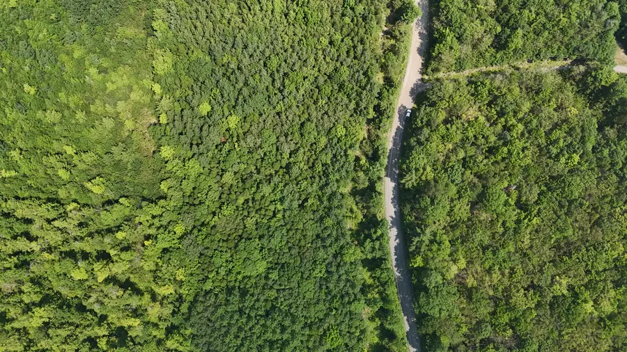 Lot 22-03 Vigue Road, Hartland, ME 04943 - Image #3