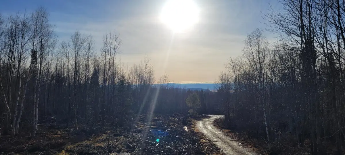 17-1 Sugar Hill Road, Eastbrook, ME 04634 - Image #1