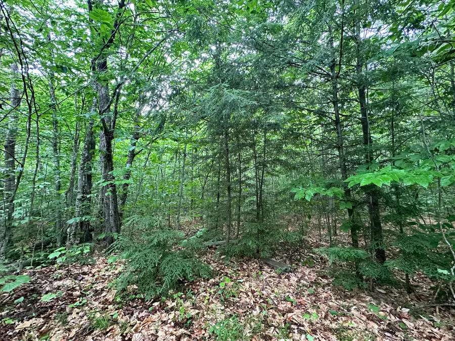 1-20 Claybrook Road, Kingfield, ME 04947 - Image #3