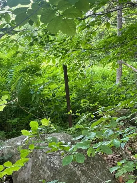 80 Gammon Road, Peru, ME 04290 - Image #3