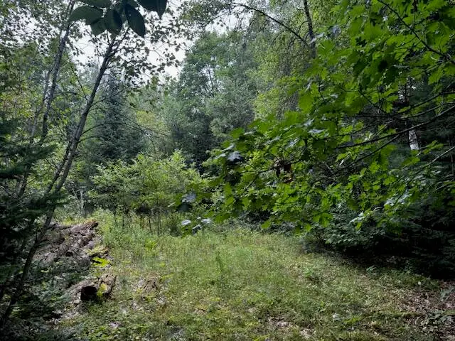 M2 L21-2 S Ridge Road, Palmyra, ME 04965 - Image #2