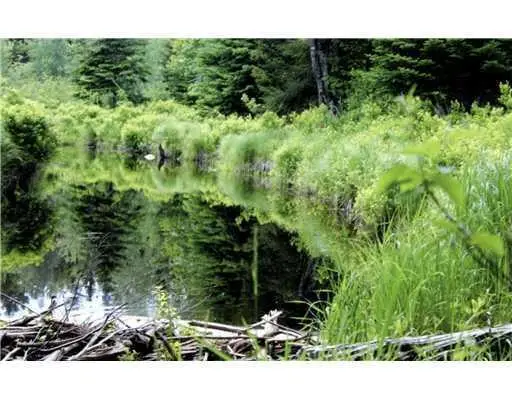 Map 3 - 30 Marshfield Flats Road, Marshfield, ME 04654 - Image #1