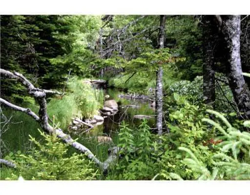 Map 3 - 30 Marshfield Flats Road, Marshfield, ME 04654 - Image #3