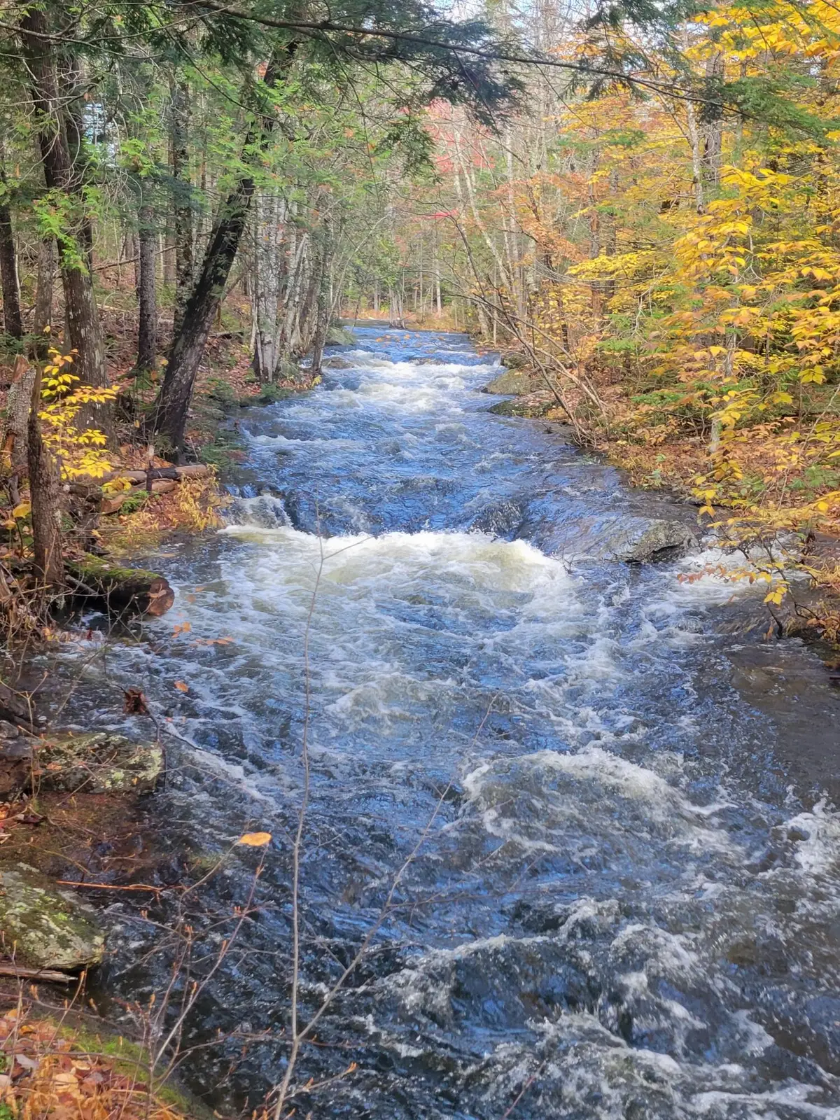 M08 Lot 32 Main Street, Sandy River Plt, ME 04970 - Image #1