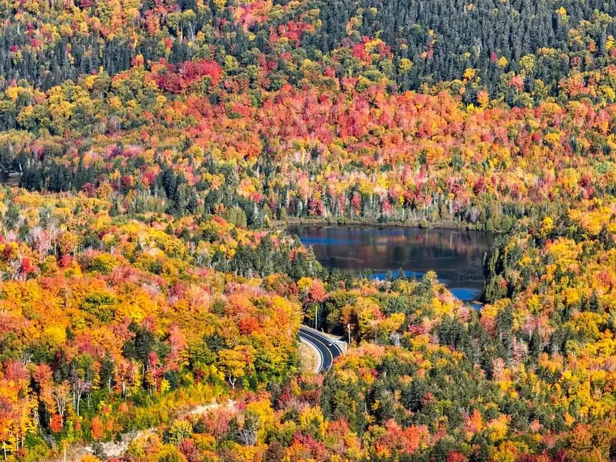 M08 Lot 32 Main Street, Sandy River Plt, ME 04970 - Image #2