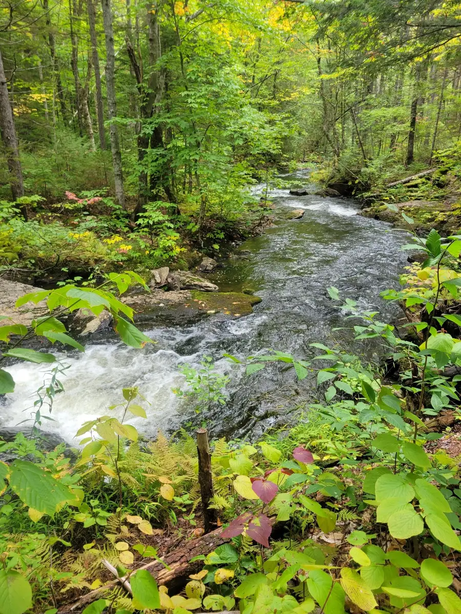 M08 Lot 32 Main Street, Sandy River Plt, ME 04970 - Image #3