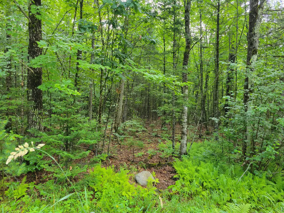 23 Union Hill Road, Stow, ME 04037 - Image #1