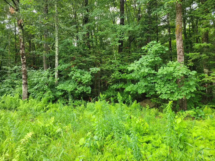 23 Union Hill Road, Stow, ME 04037 - Image #2