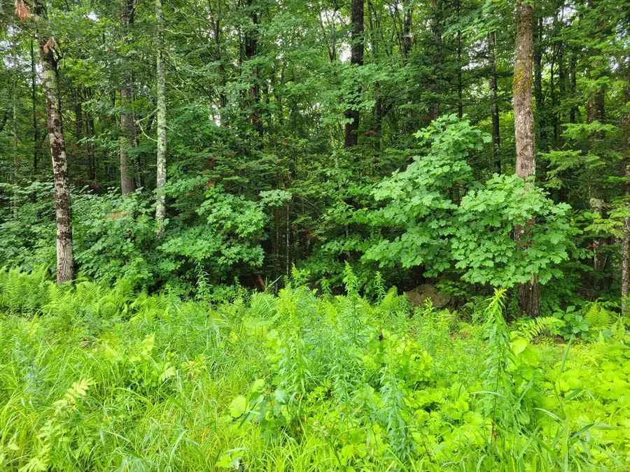 23 Union Hill Road, Stow, ME 04037 - Image #3