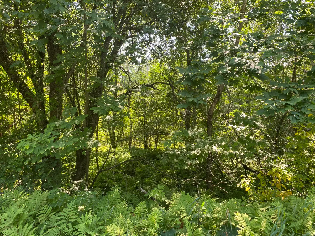 Map1Lot25 Taylor Road, Athens, ME 04912 - Image #1