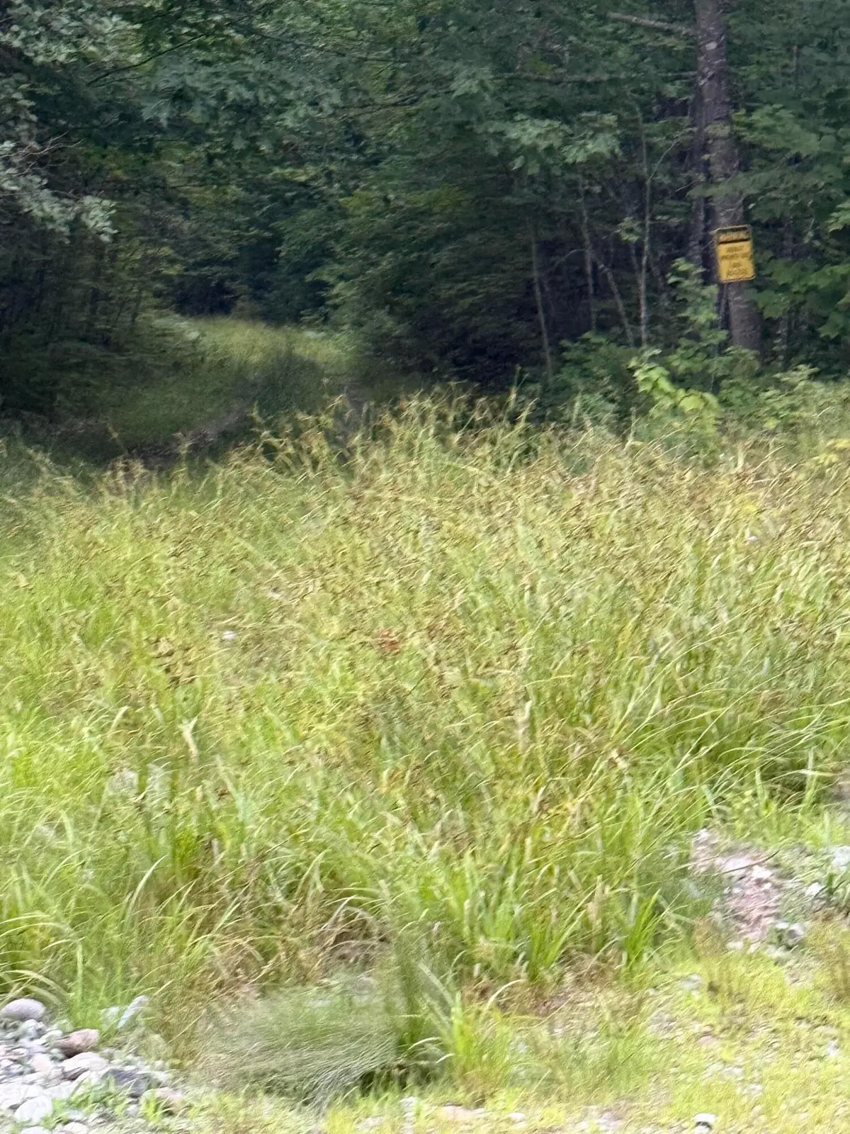 Lot 35 Messer Road, Moscow, ME 04920 - Image #1