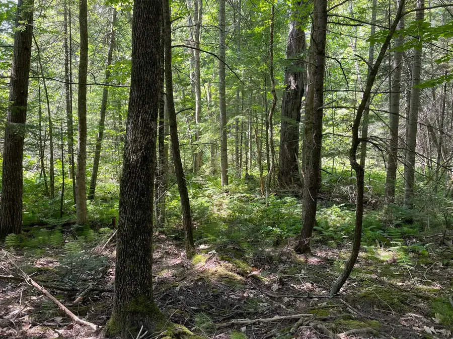 Lot 6 Holmes Brook Lane, Winthrop, ME 04364 - Image #2