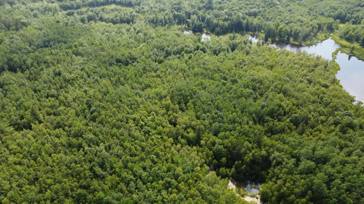 7 Sharon Lane, Cherryfield, ME 04622 - Image #1