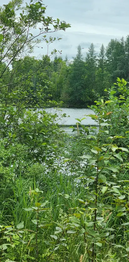 Map7 Lot21, Sherman, ME 04776 - Image #2