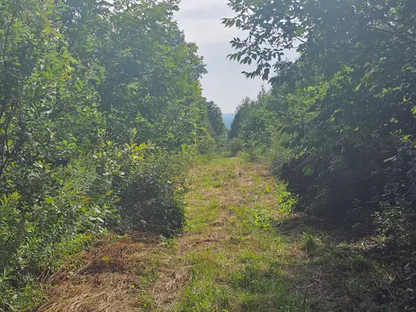 L3 M,R-1 Aroostook Scenic Highway, Patten, ME 04765