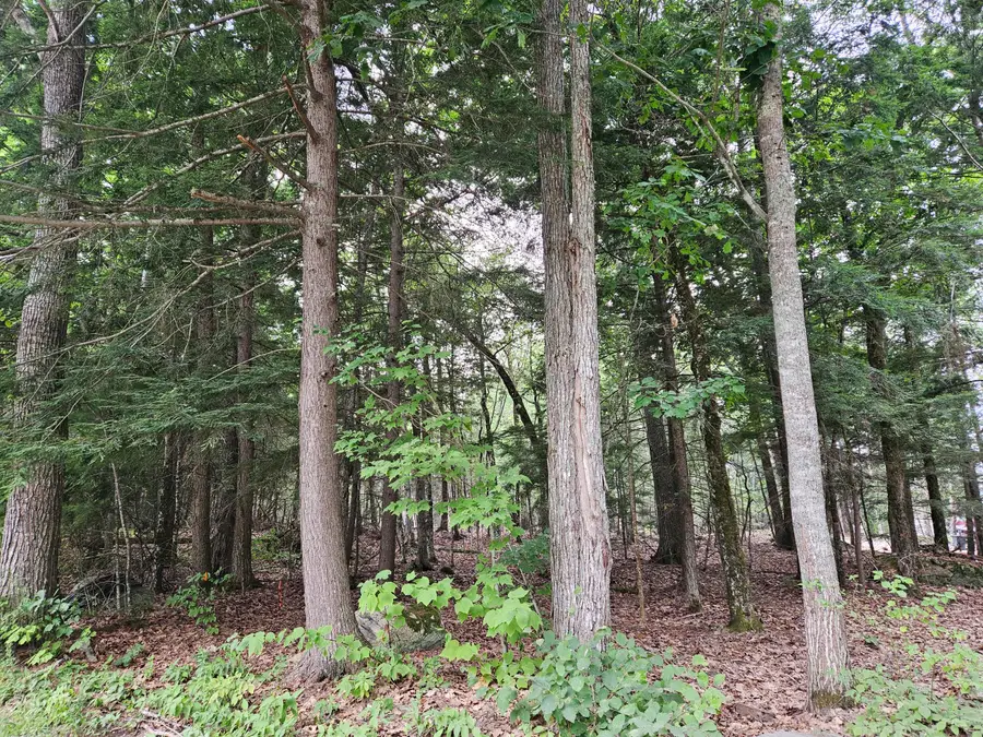 0 Gould Road, Orono, ME 04473 - Image #2