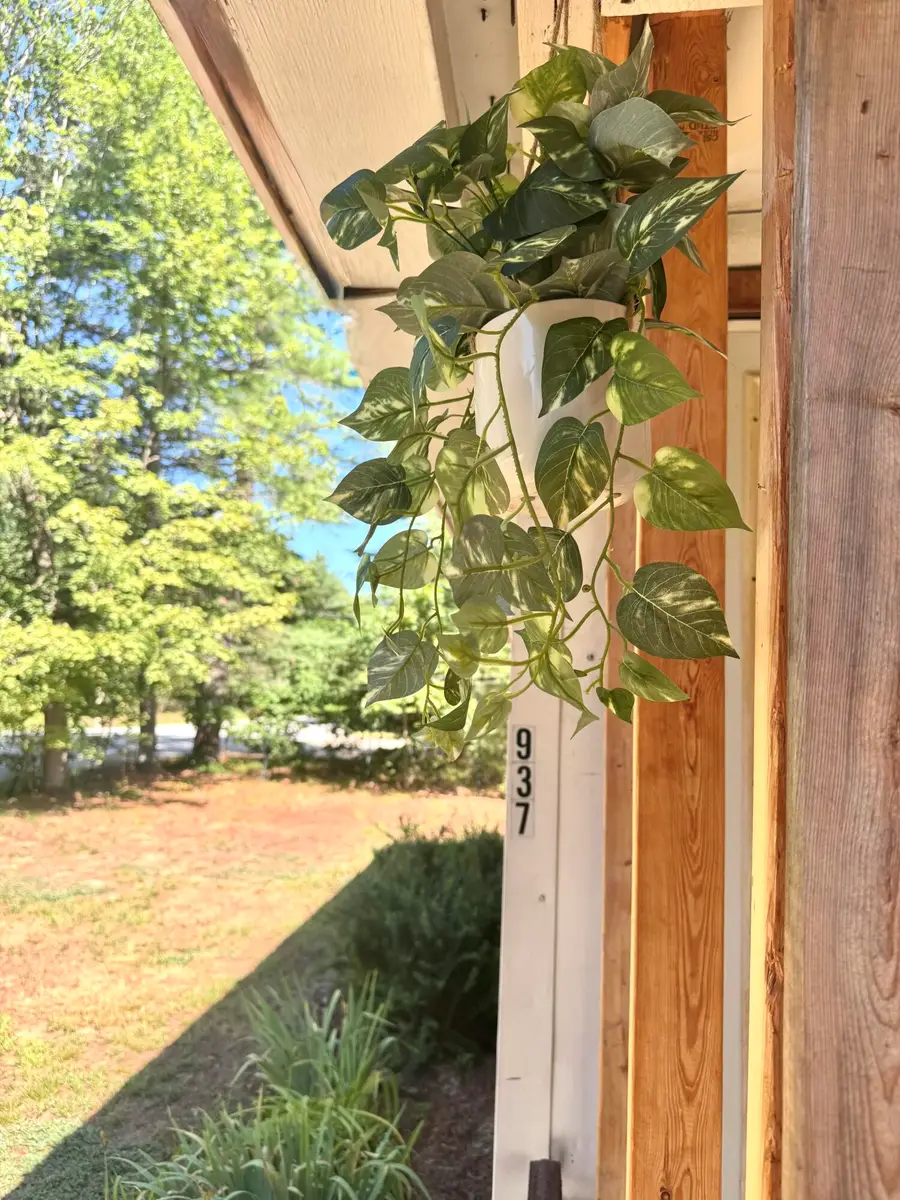 937 Pequawket Trail, Steep Falls, ME 04085 - Image #3