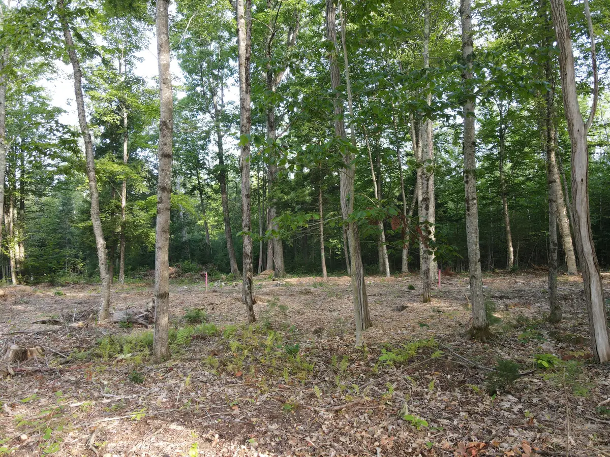 Lot 6 Oak Pond Road, Canaan, ME 04967 - Image #1